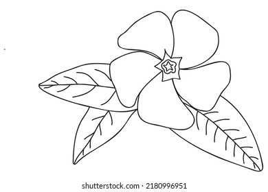 
painted barvinok flower painted in black on a white background is intended for cards, fabric printing, tattoo, valentine, March 8 and other occasions
