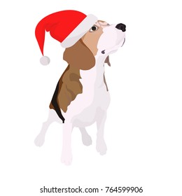 painted beagle dogs in a New Year's cap. Symbol of the new year 2018