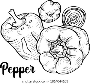 Painted bell pepper with spices