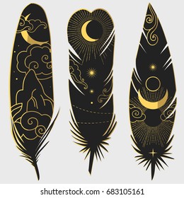 Painted bird feathers. Vector hand drawn illustration in boho style.