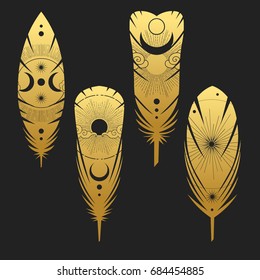 Painted bird feathers. Vector hand drawn illustration in boho style.