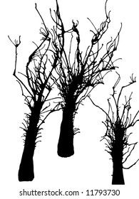 painted black horror tree