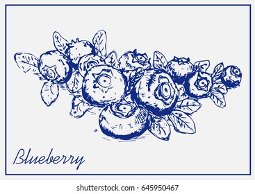 Painted blueberries isolated on a light background.