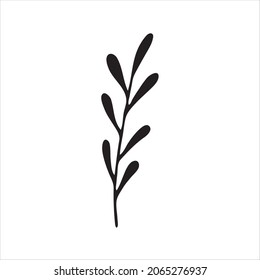 A painted branch with leaves. Doodle style, floral decor, greenery pattern, minimalism. Isolated. Vector illustration.