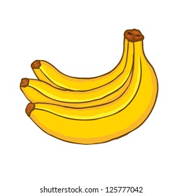 Painted bunch of bananas, vector illustration