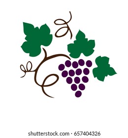 Vector Illustration Icon Bunch Ripe Grapes Stock Vector (Royalty Free ...