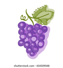 Painted bunch of juicy purple grapes on a white background. Hand drawn sketch. Vector illustration. Drawing summer fruit