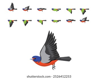 Vector de dibujos animados de secuencia de animación de vuelo de pájaro Bunting pintado