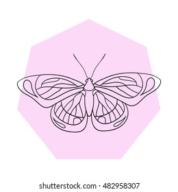 painted butterfly