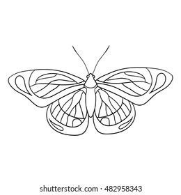 Painted Butterfly Stock Vector (royalty Free) 482958343 