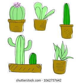 Painted cactus drawing by hand, vector illustration