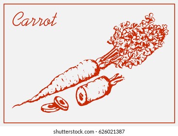 Painted carrot isolated on a light background