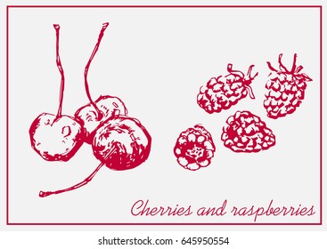 Painted cherry berries and raspberries isolated on a light background.