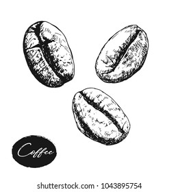 painted coffee beans, sketch, vector drawing, perfect ingredient choice grain