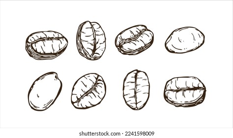 painted coffee beans, sketch, vector drawing, perfect ingredients, hand-drawn choice of grain in different poses
