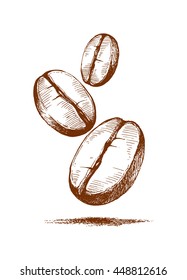 painted coffee beans, sketch, vector drawing, perfect ingredient, choice grain