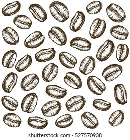 painted coffee beans, sketch, vector drawing, perfect ingredient, choice grain