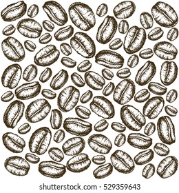 painted coffee beans sketch vector drawing. Perfect ingredient and choice grain