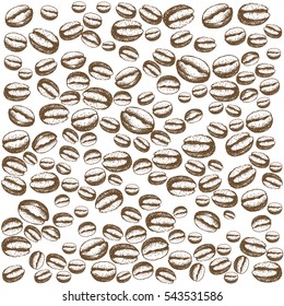 painted coffee beans, sketch, vector drawing, perfect ingredient, choice grain