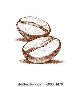 painted coffee beans, sketch, vector drawing, perfect ingredient, choice grain