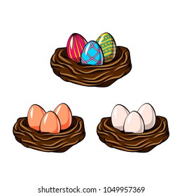 Painted eggs in nest set. Easter eggs. Gretting card design. Vector illustration isolated on white background.