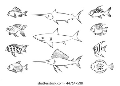 Painted fishes. Shark and swordfish, flounder and carp. Hand drawn fish set vector illustration