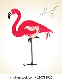 Painted flamingo bird - vector illustration