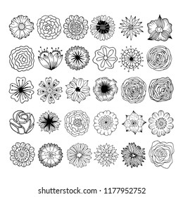 Painted flowers are handmade. Multicolored, monochrome, elegant. For invitations, posters, flyers and other designs.