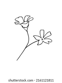 las flores pintadas. Vector. Aislado sobre un fondo blanco.