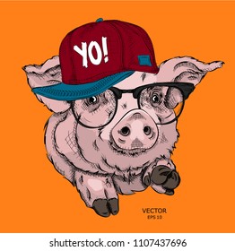 A painted funny pig with glasses and a hip hop cap. Vector illustration. It can be used as a print on clothes or as part of the design of other products