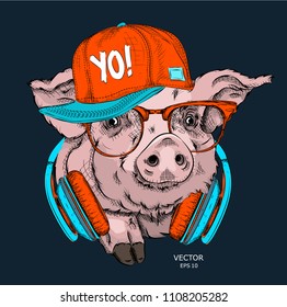 A painted funny pig with glasses and a hip hop cap. Vector illustration. It can be used as a print on clothes or as part of the design of other products