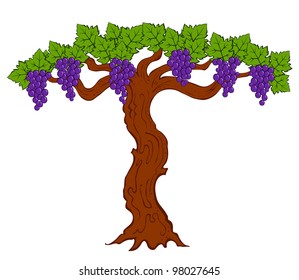 painted grapes and leaves on a tree vector