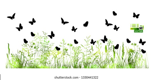 Painted grass with butterflies

