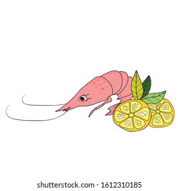 A painted hand, A large cancer, two pieces of lemon and leaves.Vector illustration on a white isolated background.Form for banners, postcards.food and drink