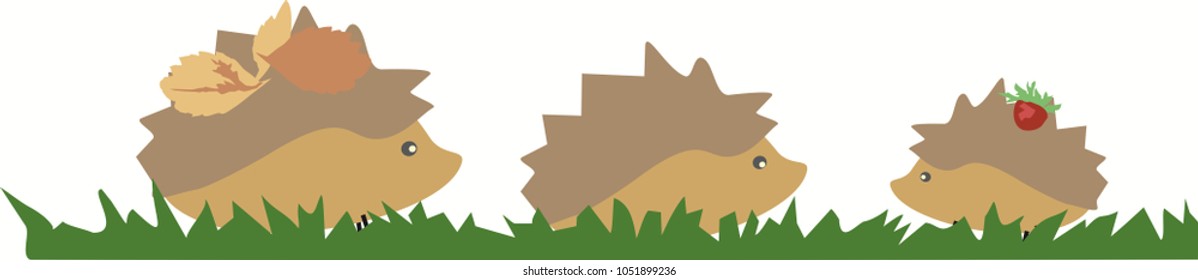 painted hedgehogs walking on grass vector on white background