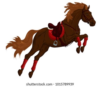 Painted illustration of a jumping stallion equipped with a sport English saddle and leg bandages. Image of a sorrel horse can be used as an emblem or design element for equestrian schools, goods.