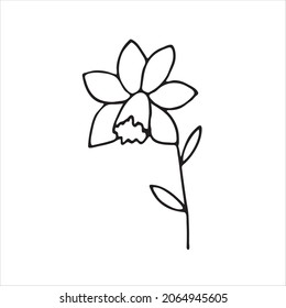 Painted Iris Flower. Doodle Style, Black Outline, Drawing With Floral Elements, Minimalism. Isolated. Vector Illustration.