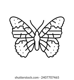 painted lady summer line icon vector. painted lady summer sign. isolated contour symbol black illustration