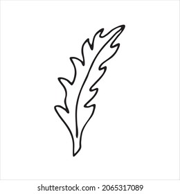 A painted leaf, a flower stalk. Doodle style, black outline, long leaf drawing, minimalism. Isolated. Vector illustration.