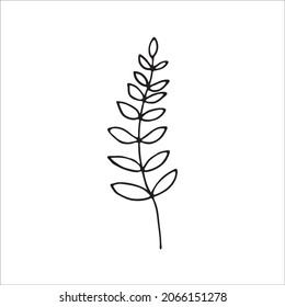 A painted leaf, a flower stalk. Doodle style, black outline, long leaf drawing, minimalism. Isolated. Vector illustration.
