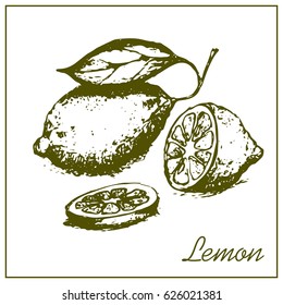Painted lemon isolated on white background