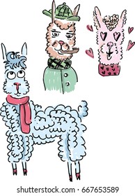Painted llama