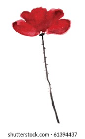 Painted poppy, watercolor illustration, VECTOR