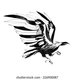 painted raven, hand work, ink with pen