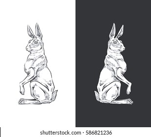 painted realistic rabbit and hare on white and dark background. isolated vector vintage. Engraving monochrome and chalk on a blackboard