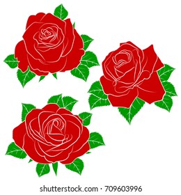 Painted set of roses. Roses buds and leaves on a white background