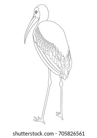 Painted stork coloring book. Hand drawn bird vector illustration isolated on white.