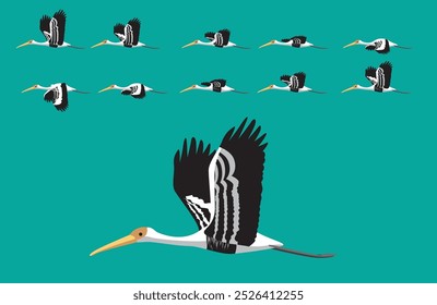 Vector de dibujos animados de vuelo de secuencia de animación de pájaro tropical de cigüeña pintada