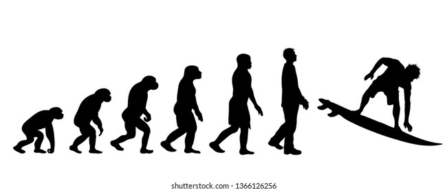 Painted theory of evolution of man. Vector silhouette of homo sapiens. Symbol from monkey to surfer.