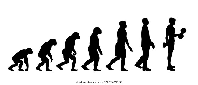 Painted theory of evolution of man. Vector silhouette of homo sapiens. Symbol from monkey to body builder.